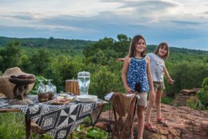 Classic Hwange Safari