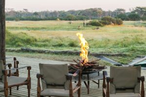 Classic Hwange Safari