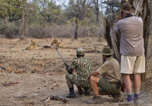 Ultimate Luangwa Safari