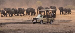 African Safari Holiday