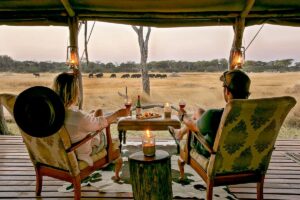 Classic Hwange Safari