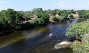 Plains And Rivers Safari