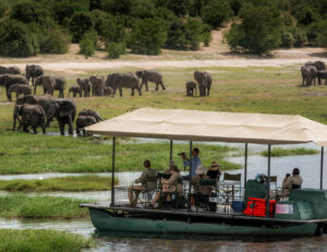 Chobe Camping Safari