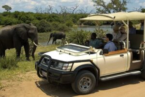 Best of Victoria Falls, Chobe safari package