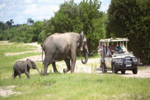 Holiday To Zambia