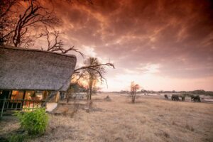 Bumbusi Wilderness Camp