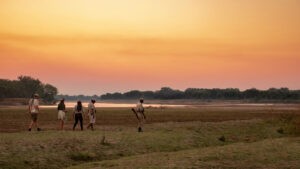 Great Parks of Zambia