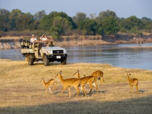 Great Parks of Zambia