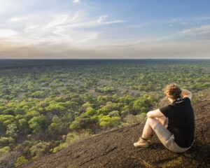 Kafue Conservation Safari