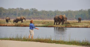 Great Parks of Zambia