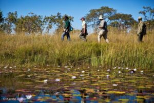 Kafue Conservation Safari