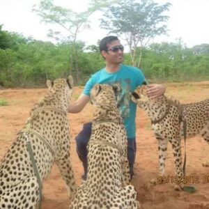 cheetah Interaction
