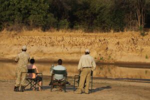 Luangwa Discovery Safari