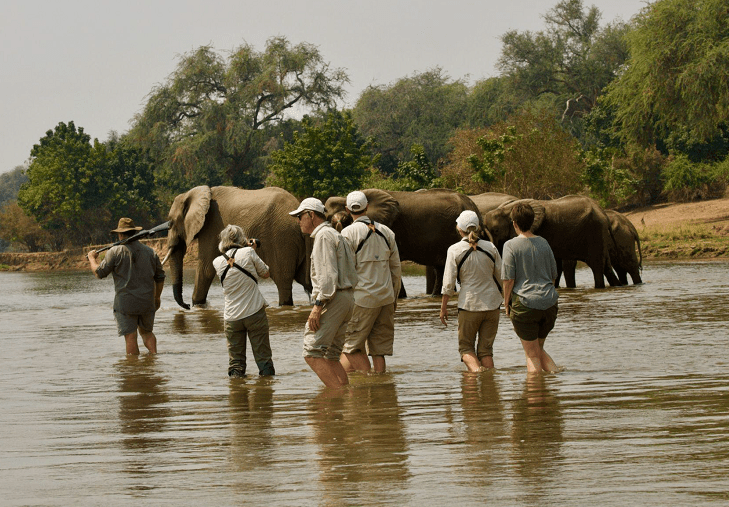 Rivers and Ruins Safari