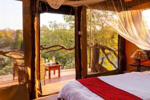 Fig Tree Bush Camp