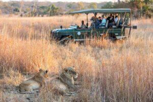 zambia travel and tour