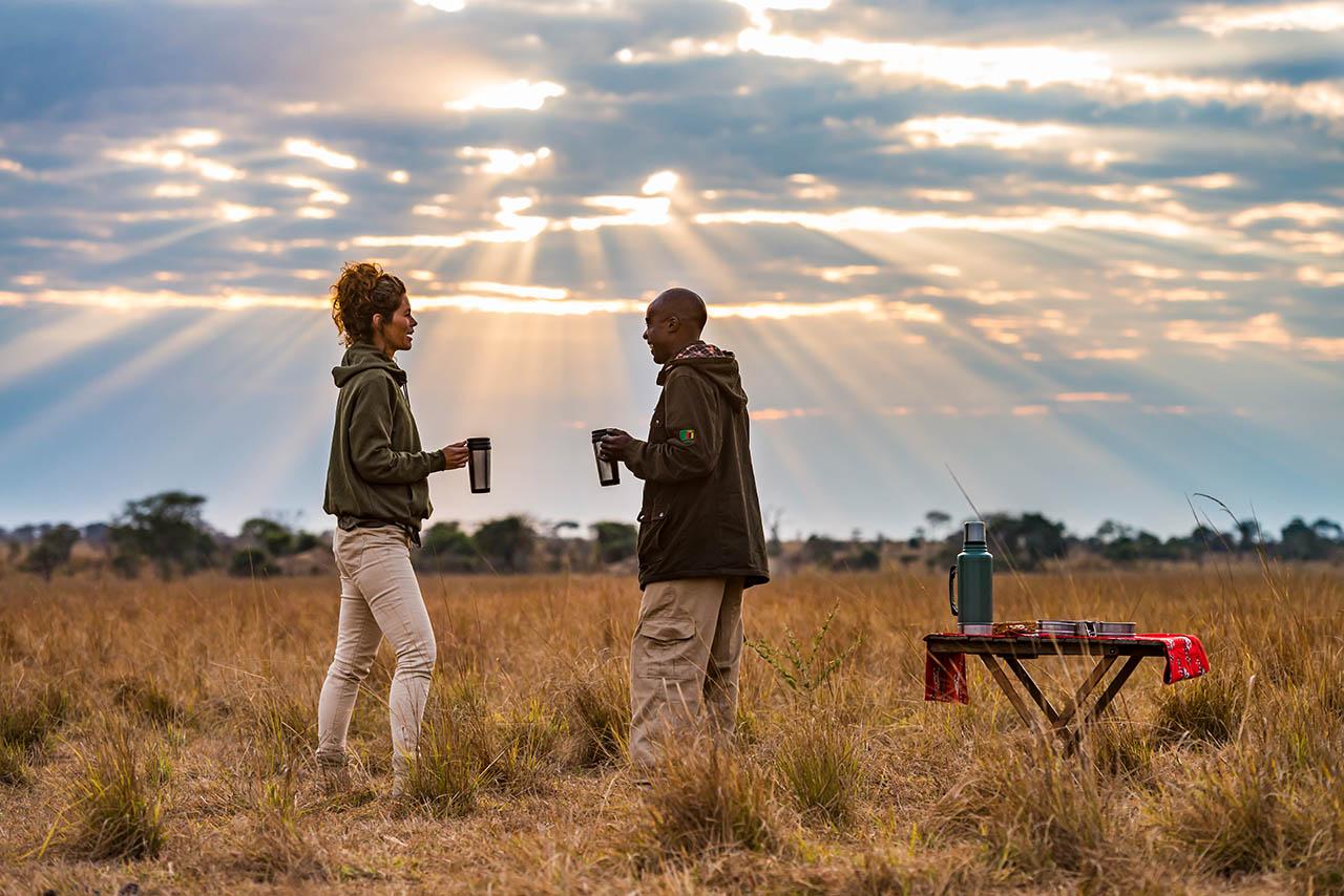 Zambia safari