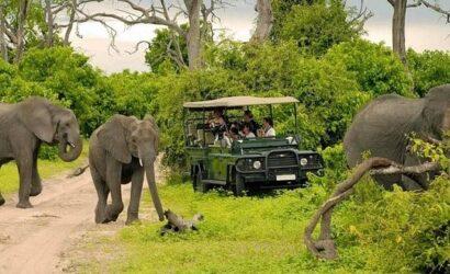 Chobe Day Trip