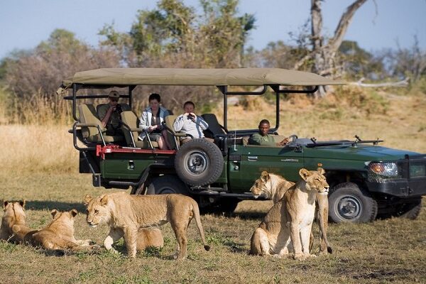 Botswana Holiday Safaris