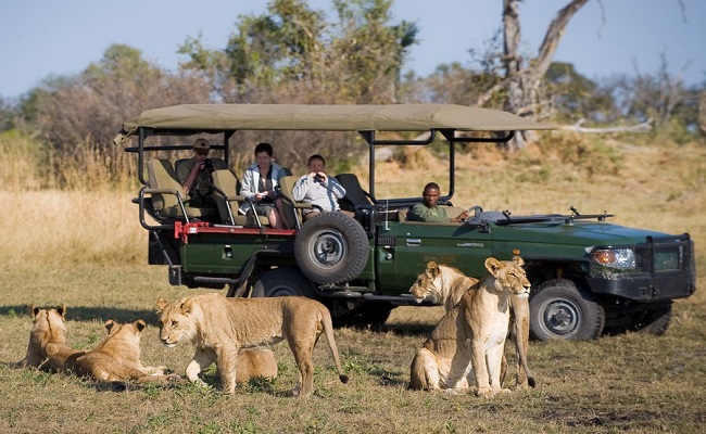 zambia travel and tour