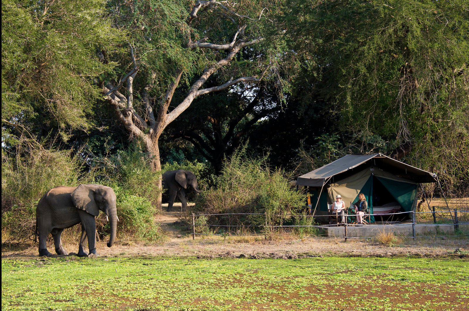 South Luangwa National Park