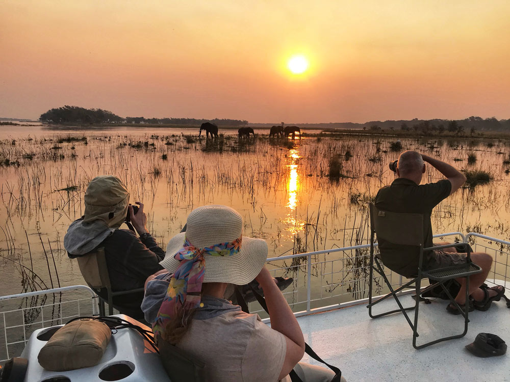 Zambia Family Safari