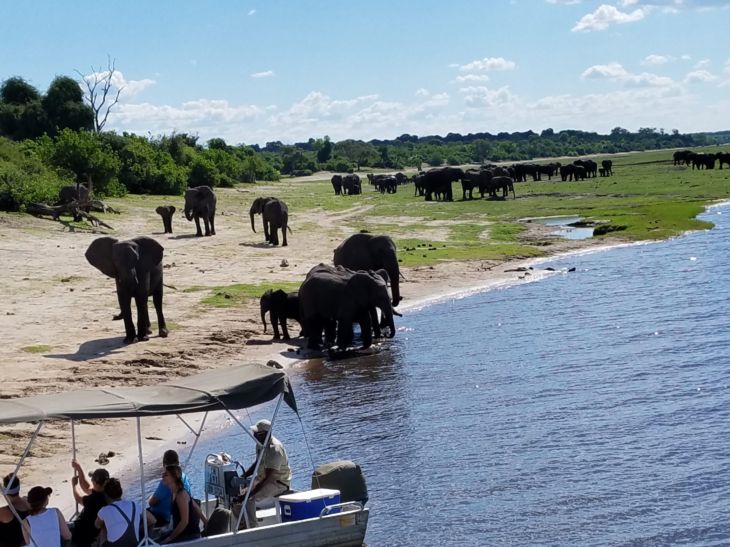 Chobe Day Trip From Livingstone